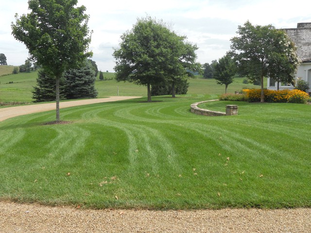 Three Reasons Overseeding Is Great For Your Lawn