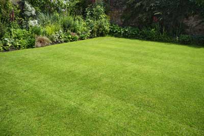 Having Difficulty Ridding Your Lawn of Uninvited Guests? Crab Grass Control Gets it Done