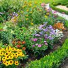 Landscaper in Johnson City, Tenessee
